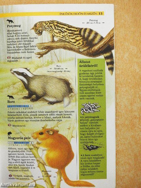 Emlősök erdőn és mezőn