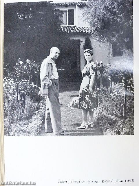 Beszélő húrok