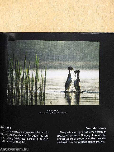 Emlék a Nimfea Természetvédelmi Egyesülettől