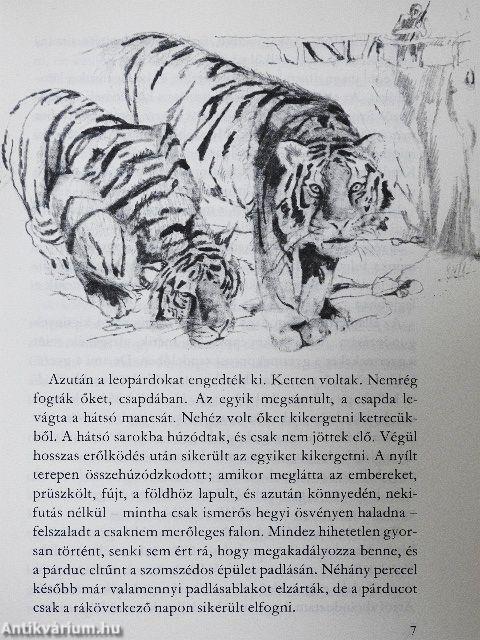 Négylábú barátaim