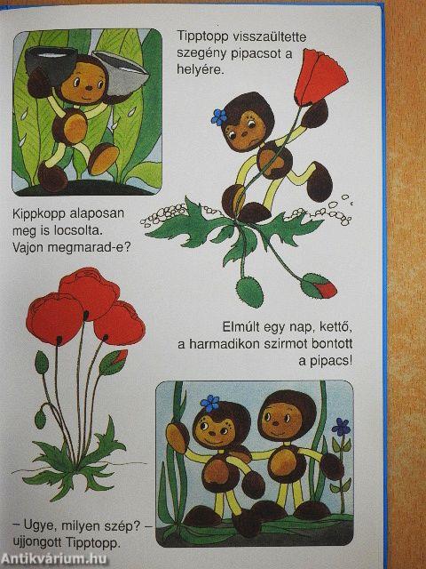 Kippkopp és a hónapok