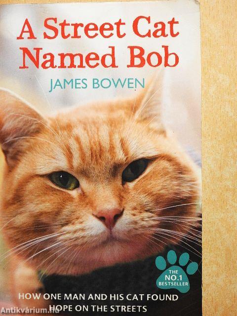 A Street Cat Named Bob