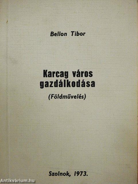 Karcag város gazdálkodása