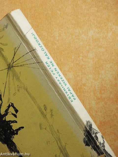 Pápai vizeken ne kalózkodj!