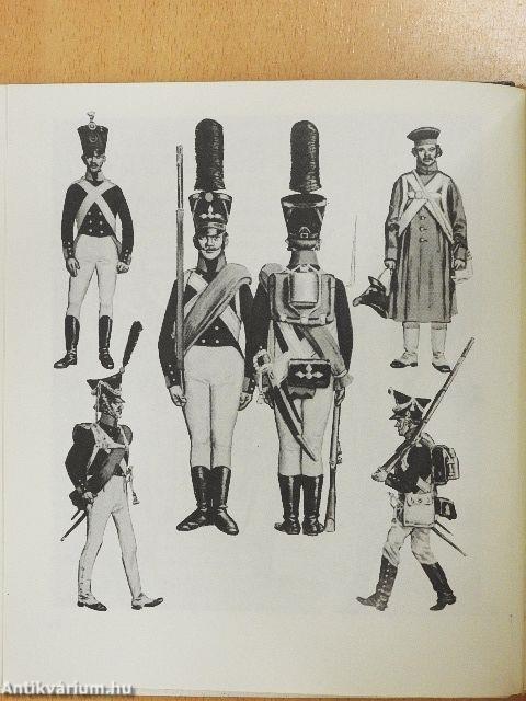 Borogyino, 1812