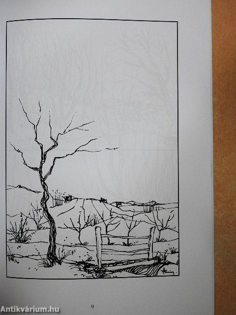 A hétköznapi dolgok varázslata