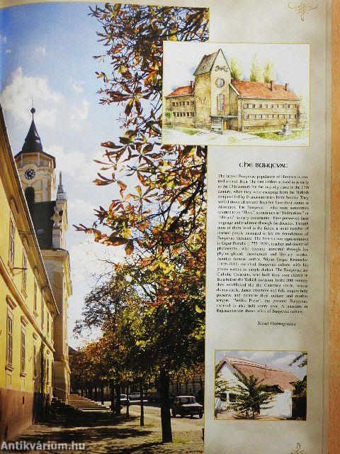 Baja 300 éves város