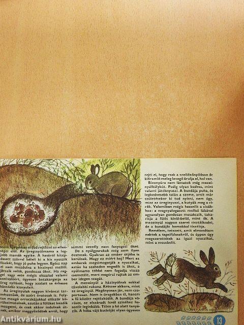 Dörmögő Dömötör 1978. március