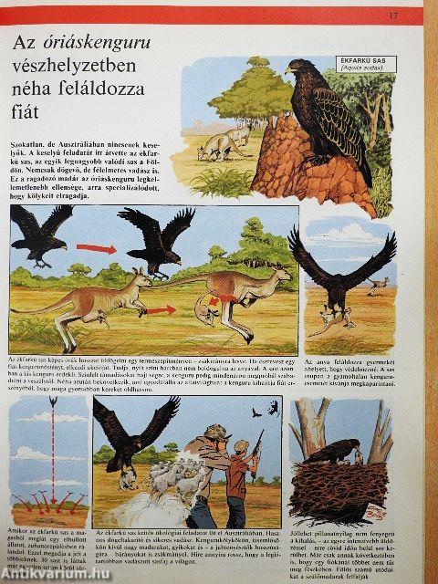 Az állatvilág képekben 9.