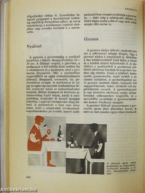 Orvos a családban