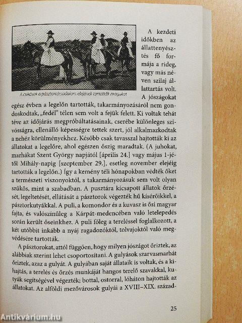 Betyárok könyve
