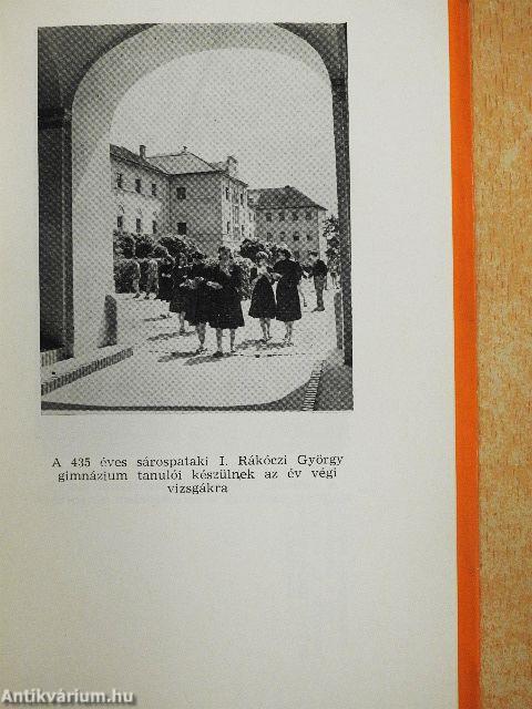 A magyar népi demokrácia nevelésügyének története