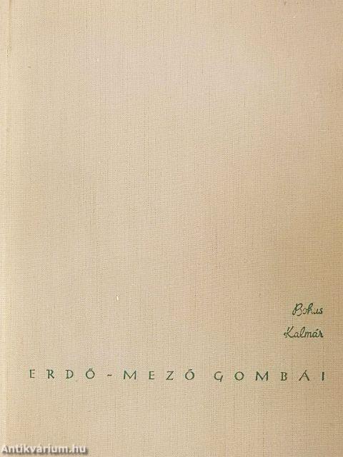 Erdő-mező gombái