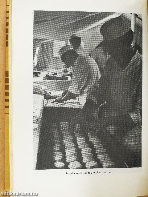 Az arcvonal mögött