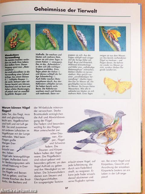 Geheimnisvolle Natur