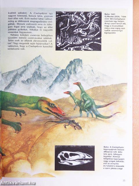 A dinoszauruszok nagy képeskönyve