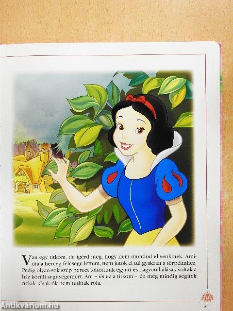 Hercegnők nagy könyve