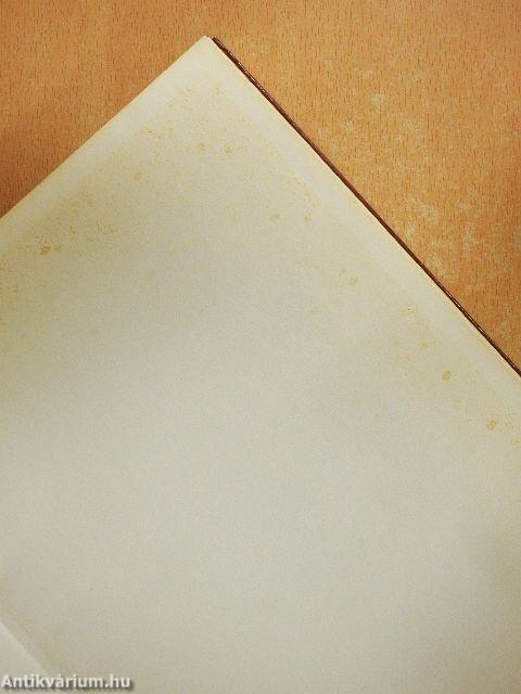 Női szabó szakrajz