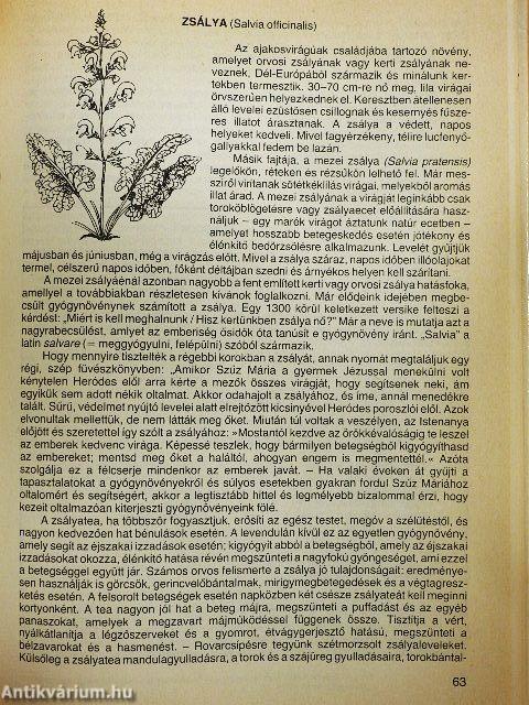 Egészség Isten patikájából