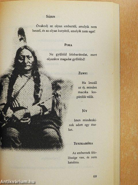 Észak-amerikai indiánok titokzatos élete