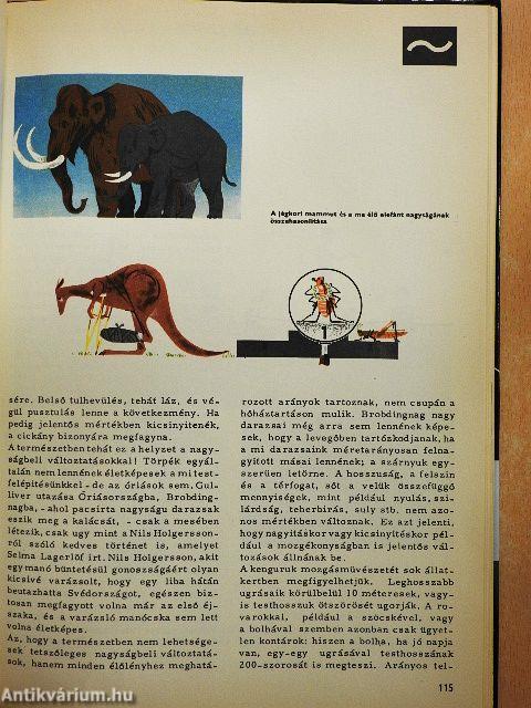 Séta a matematika birodalmában