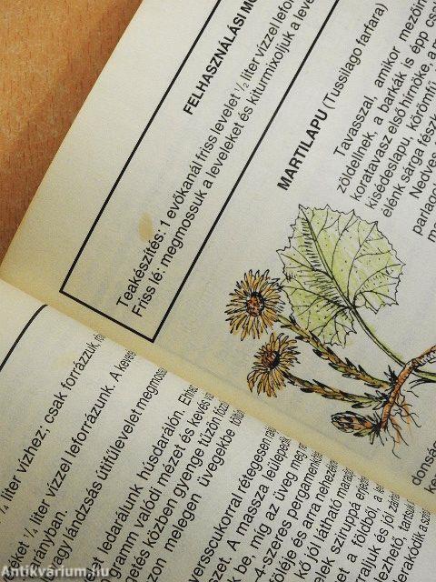 Egészség Isten patikájából