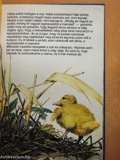 Hápi világgá megy