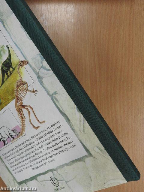 A dinoszauruszok nagy képeskönyve