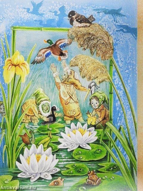 Szille igazságot tesz