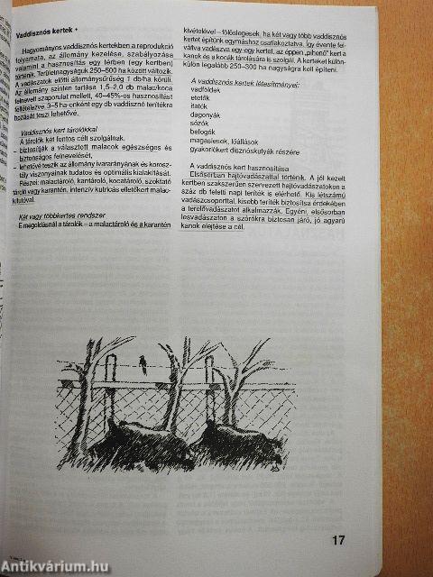 A vadászat eszközei