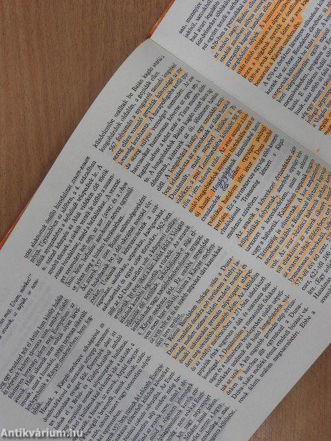 Árpád népe előtt