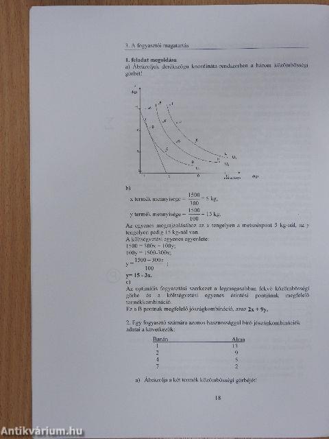 Közgazdaságtan I/3.