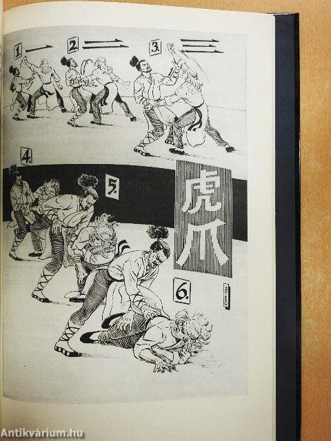 Kung fu-technikák és edzésmódszerek