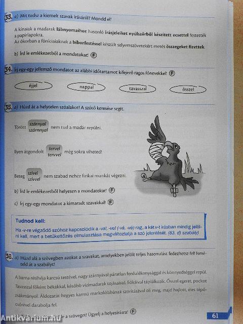 Hej, írás, helyes írás! 5. 