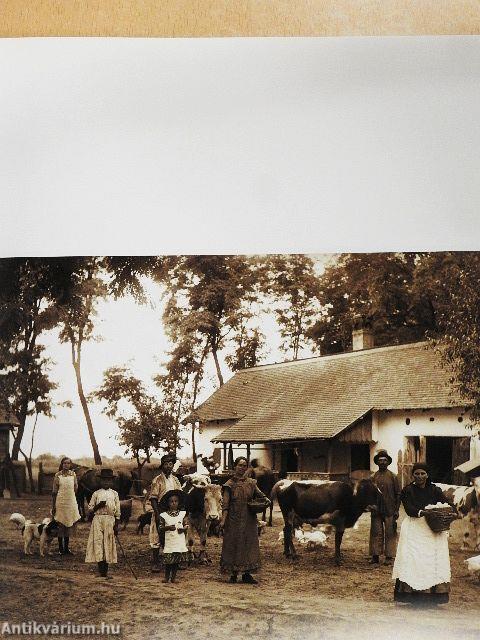 110 év 110 műtárgy