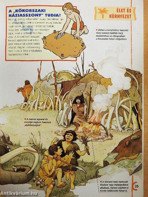 A neander-völgyi ember