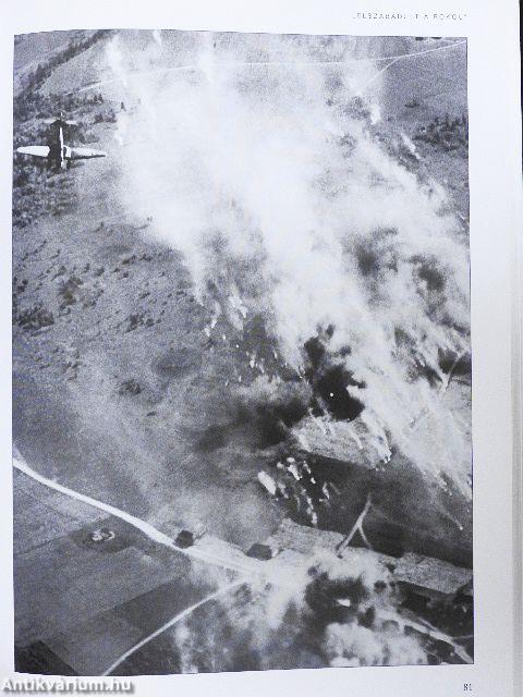 Barbarossa: Az első 7 nap