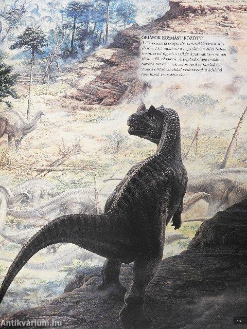 Novum Dinoszaurusz enciklopédia