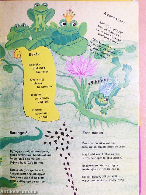 Ha a világ rigó lenne 