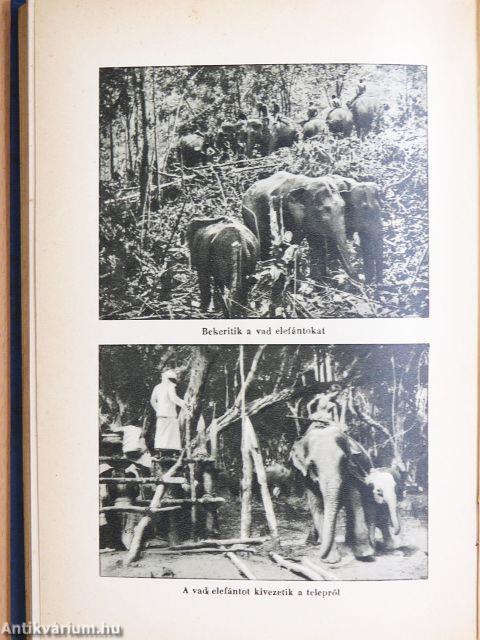 "15 kötet A világjárás hősei sorozatból (nem teljes sorozat)"