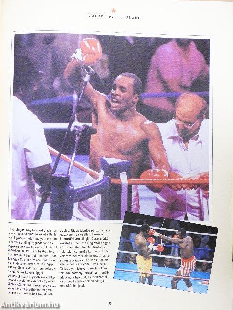 A boksz aranykönyve