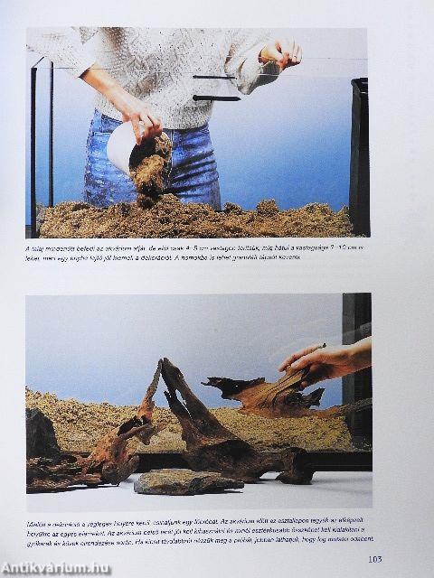 Halak és akváriumok