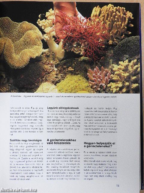 Halak és akváriumok