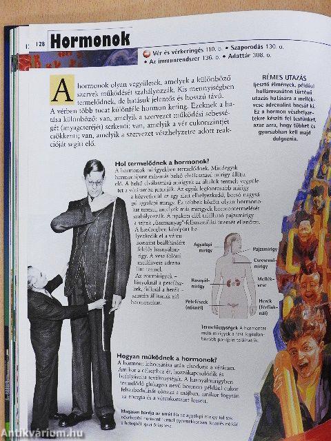 Ámulatba ejtő valóság