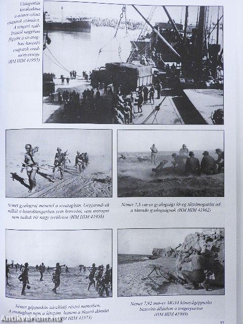 Páncélosok a sivatagban