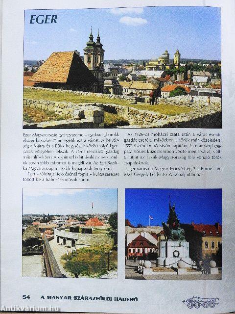 A magyar szárazföldi haderő