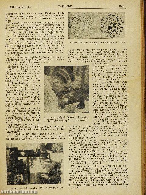 Zászlónk 1938. szeptember-1939. június