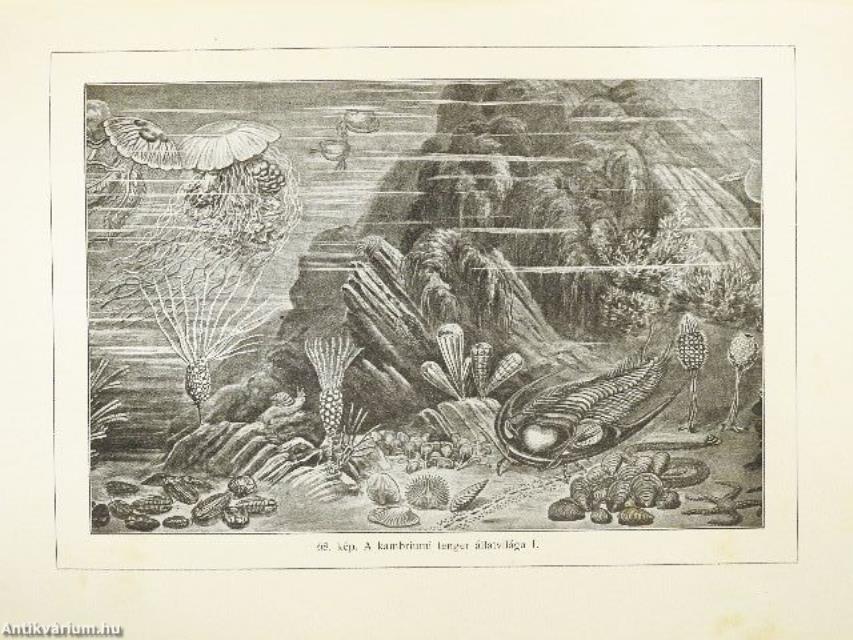 A Föld és az élet története