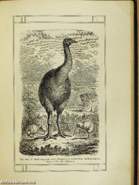 A Föld és az élet története