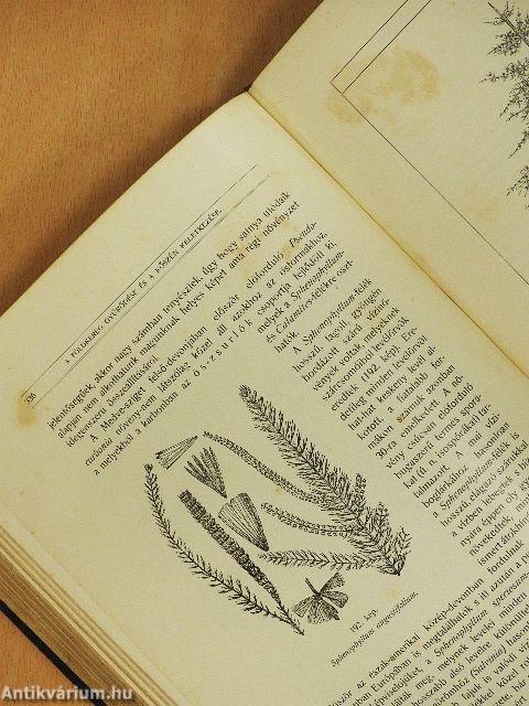 A Föld és az élet története